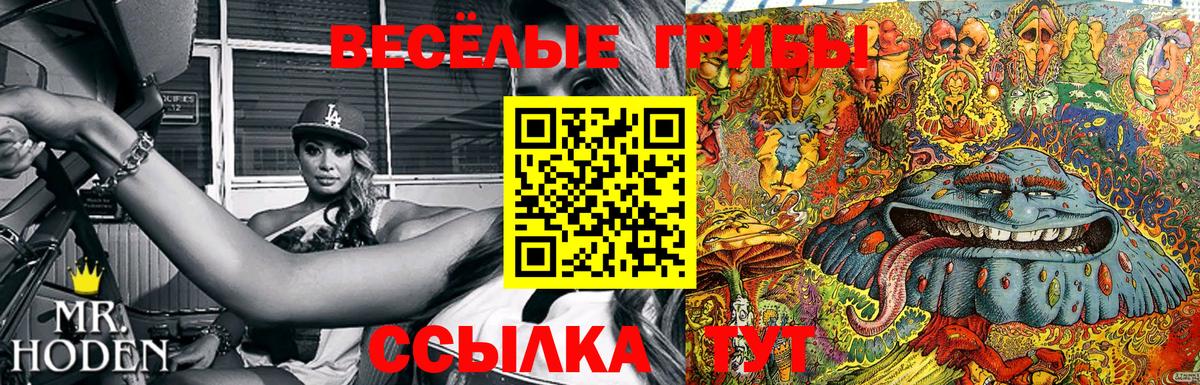 Нефтекамск  Псилоцибиновые грибы MAGIC MUSHROOMS  Вход с VPN  Галлюциногенные грибы Psilocybe 